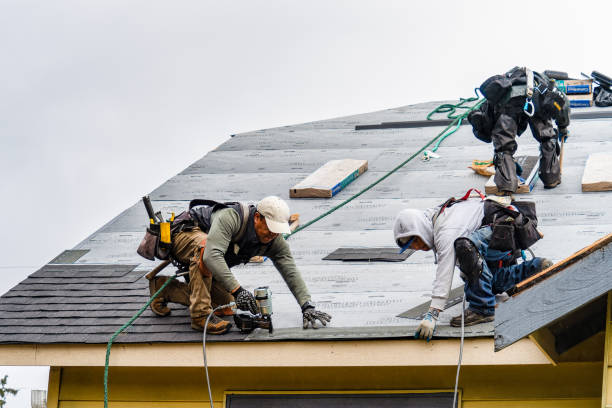 Professional Roofing technician working in Morrisonville, WI